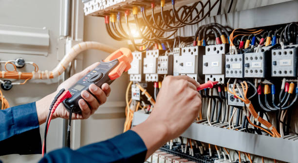 Best Local Electrician Companies  in Raymondville, TX